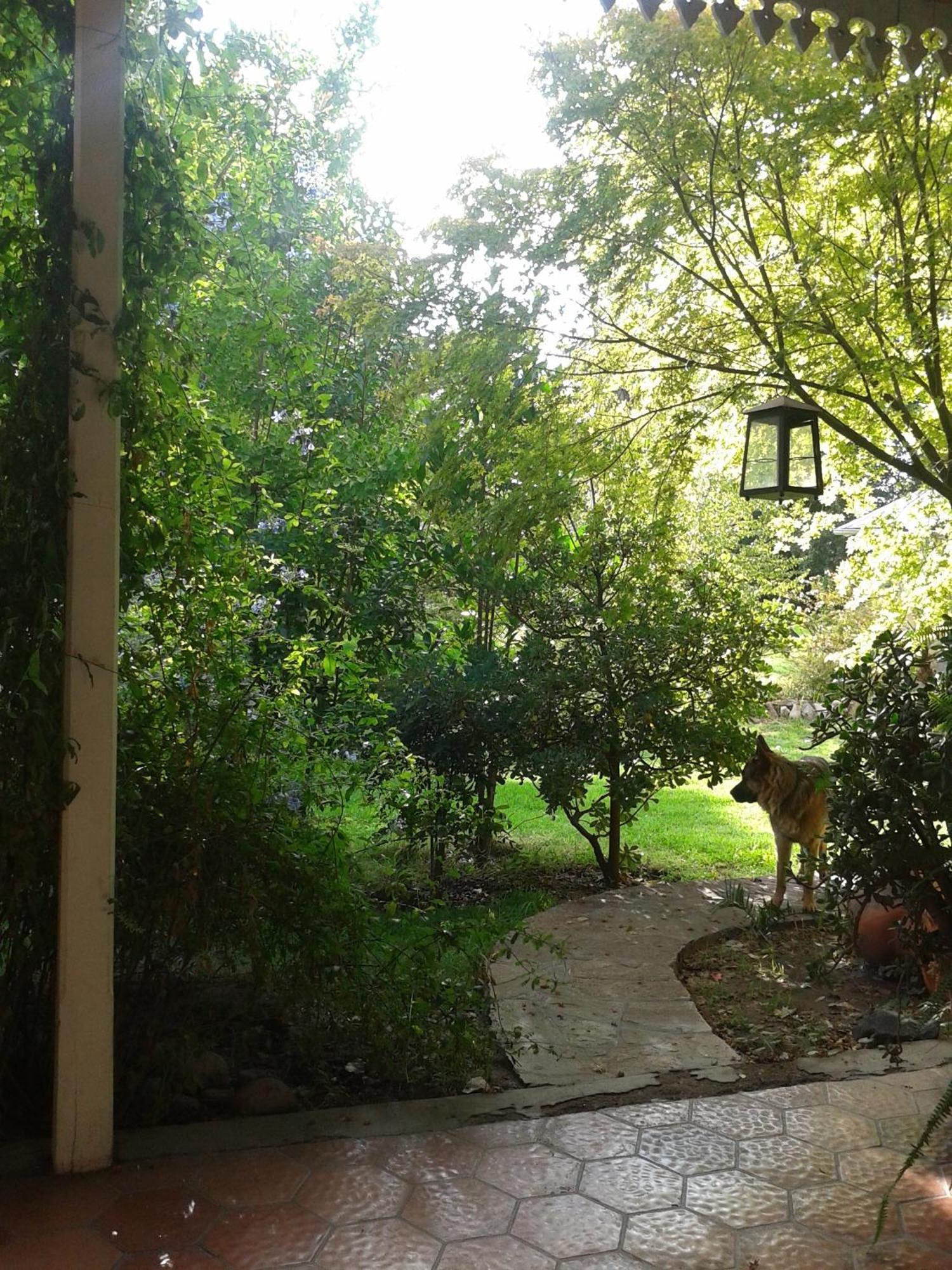 Bed and Breakfast Casco El Trapiche Godoy Cruz Pokoj fotografie